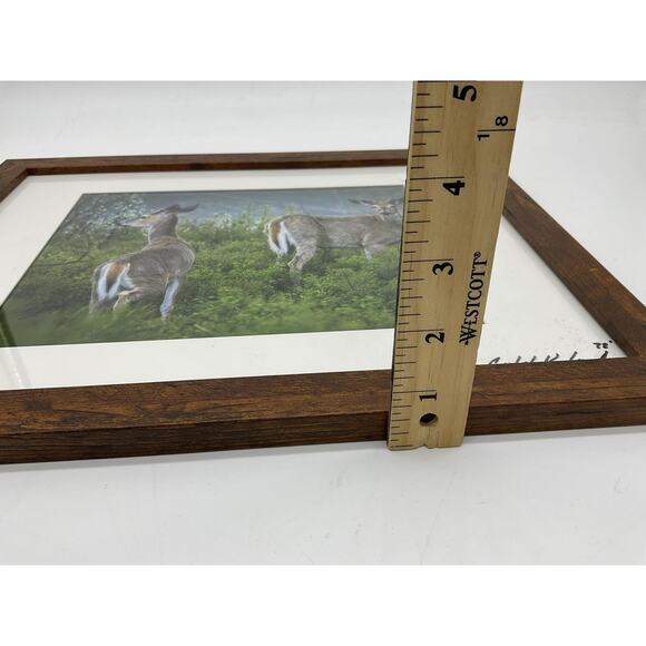 Caleb Koland Deer Wildlife Landscape Photo Print Framed Vintage Signed Wall Art - Picture 5 of 6